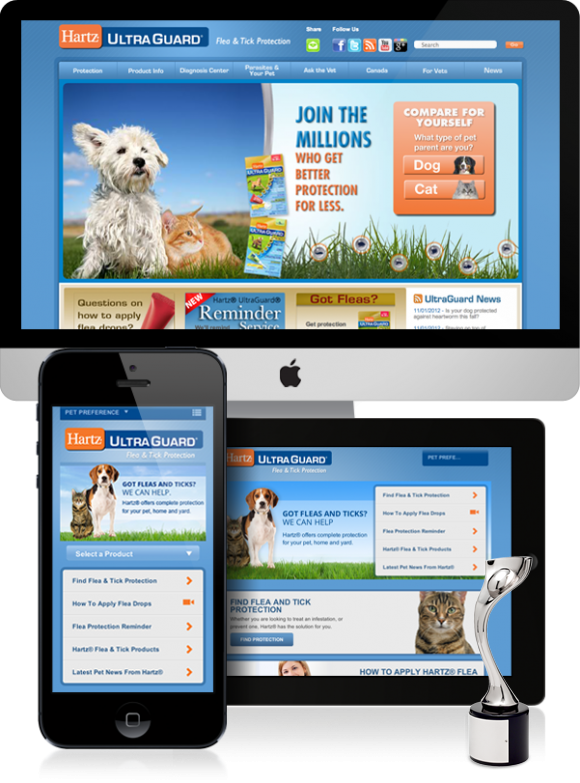 Keep Their Attention