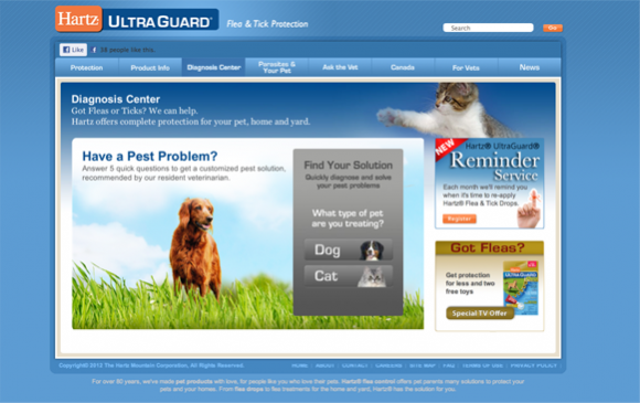 Keep Their Attention