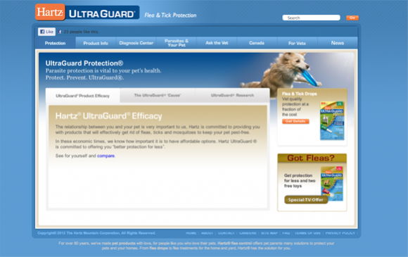 Keep Their Attention