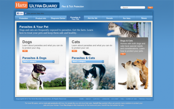 Keep Their Attention